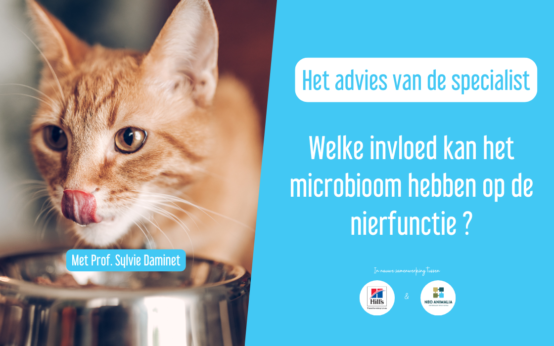 Heeft het darmmicrobioom een invloed op de nierfunctie?