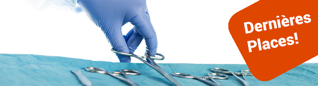 Chirurgies du tractus urinaire et gestion chirurgicale des hernies périnéales