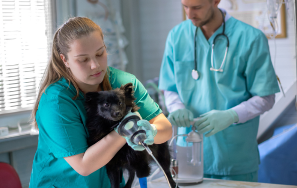 ID1131 - Prise en charge des facteurs humains pour une anesth&eacute;sie plus s&ucirc;re et de qualit&eacute; - &Eacute;dition 1