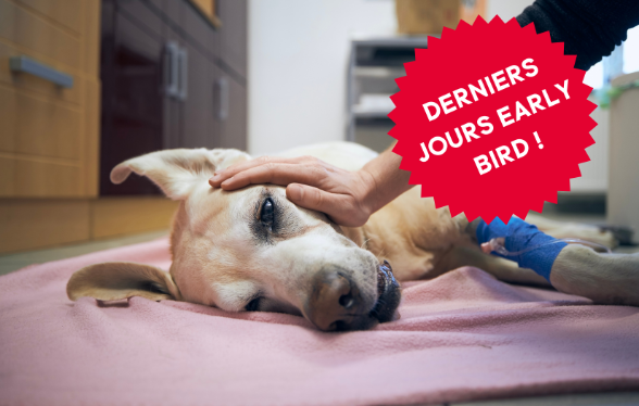 ID1118 - Parcours didactique en gestion des urgences et hospitalisation des animaux de compagnie - Edition 1