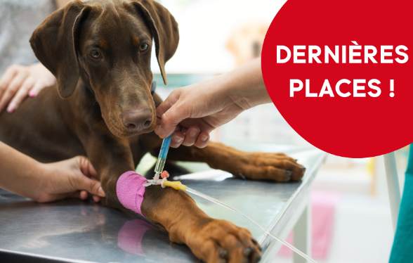 ID1113 - Parcours didactique en médecine interne - Edition 1