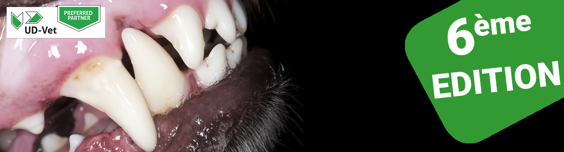 Cycle en Dentisterie du chien et du chat - Edition 6